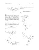 HEPATITIS C INHIBITOR COMPOUNDS diagram and image