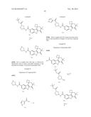 HEPATITIS C INHIBITOR COMPOUNDS diagram and image