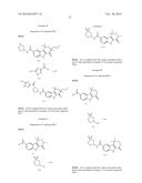 HEPATITIS C INHIBITOR COMPOUNDS diagram and image