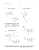 HEPATITIS C INHIBITOR COMPOUNDS diagram and image