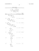 HEPATITIS C INHIBITOR COMPOUNDS diagram and image