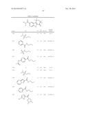 HEPATITIS C INHIBITOR COMPOUNDS diagram and image