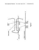 Micro-RNA Scaffolds, Non-naturally Occurring Micro-RNAs, and Methods for     Optimizing Non-naturally Occurring Micro-RNAs diagram and image