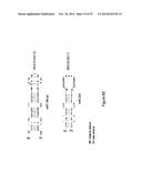 Micro-RNA Scaffolds, Non-naturally Occurring Micro-RNAs, and Methods for     Optimizing Non-naturally Occurring Micro-RNAs diagram and image