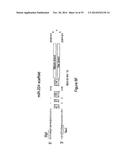 Micro-RNA Scaffolds, Non-naturally Occurring Micro-RNAs, and Methods for     Optimizing Non-naturally Occurring Micro-RNAs diagram and image