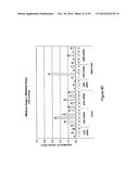 Micro-RNA Scaffolds, Non-naturally Occurring Micro-RNAs, and Methods for     Optimizing Non-naturally Occurring Micro-RNAs diagram and image