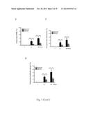 USE OF CITRAL FOR TREATING FOCAL SEGMENTAL GLOMERULOSCLEROSIS diagram and image