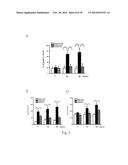 USE OF CITRAL FOR TREATING FOCAL SEGMENTAL GLOMERULOSCLEROSIS diagram and image