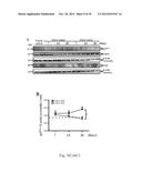 USE OF CITRAL FOR TREATING FOCAL SEGMENTAL GLOMERULOSCLEROSIS diagram and image