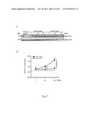 USE OF CITRAL FOR TREATING FOCAL SEGMENTAL GLOMERULOSCLEROSIS diagram and image