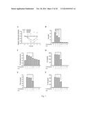 USE OF CITRAL FOR TREATING FOCAL SEGMENTAL GLOMERULOSCLEROSIS diagram and image