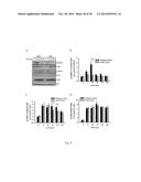 USE OF CITRAL FOR TREATING FOCAL SEGMENTAL GLOMERULOSCLEROSIS diagram and image