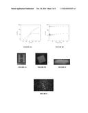 HYDROGELS AND METHODS FOR PRODUCING AND USING THE SAME diagram and image