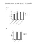 RECOMBINANT BACTERIA RECOGNIZING PROTEIN AND USES THEREOF diagram and image