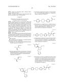 Process for the Preparation of Triazole Antifungal Drug, Its Intermediates     and Polymorphs Thereof diagram and image