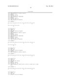 SYNTHETIC MATRIX FOR CONTROLLED CELL INGROWTH AND TISSUE REGENERATION diagram and image