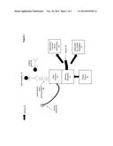 COORDINATING EMERGENCY TREATMENT OF CARDIAC DYSFUNCTION AND NON-CARDIAC     NEURAL DYSFUNCTION diagram and image