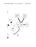 COORDINATING EMERGENCY TREATMENT OF CARDIAC DYSFUNCTION AND NON-CARDIAC     NEURAL DYSFUNCTION diagram and image