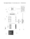 Systems and Methods for Controlling the Distribution and Viewing of     Digital Art and Imaging Via the Internet diagram and image