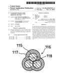 ELASTOMER AND STEEL CORD COMPOSITE AND PROCESS FOR PRODUCING THE SAME diagram and image