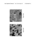 ORIENTATION IMAGING USING WIDE ANGLE CONVERGENT BEAM DIFFRACTION IN     TRANSMISSION ELECTRON MICROSCOPY diagram and image