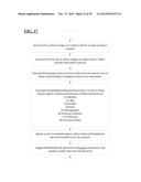 Methods, Systems, Apparatuses, Circuits and Associated Computer Executable     Code for Video Based Subject Characterization, Categorization,     Identification, Tracking, Monitoring and/or Presence Response diagram and image