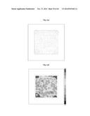 METHOD AND APPARATUS FOR COMPENSATING AT LEAST ONE DEFECT OF AN OPTICAL     SYSTEM diagram and image