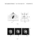 APPARATUS AND METHOD FOR QUANTITIVE PHASE TOMOGRAPHY THROUGH LINEAR     SCANNING WITH COHERENT AND NON-COHERENT DETECTION diagram and image