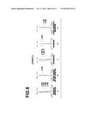 IMAGING LENS AND IMAGING APPARATUS diagram and image