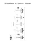 IMAGING LENS AND IMAGING APPARATUS diagram and image