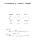 TWO DIMENSIONAL PHOTONIC CRYSTAL VERTICAL CAVITY SURFACE EMITTING LASERS diagram and image