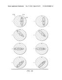 SEALING SYSTEM FOR GEROTOR APPARATUS diagram and image