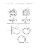 SEALING SYSTEM FOR GEROTOR APPARATUS diagram and image