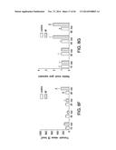 COMPOSITIONS AND METHODS TO MODULATE CELL ACTIVITY diagram and image