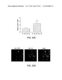 COMPOSITIONS AND METHODS TO MODULATE CELL ACTIVITY diagram and image