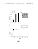 ENGINEERING MULTIFUNCTIONAL AND MULTIVALENT MOLECULES WITH COLLAGEN XV     TRIMERIZATION DOMAIN diagram and image