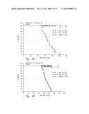 VARIANT ACTIVIN RECEPTOR POLYPEPTIDES, ALONE OR IN COMBINATION WITH     CHEMOTHERAPY, AND USES THEREOF diagram and image