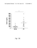 VARIANT ACTIVIN RECEPTOR POLYPEPTIDES, ALONE OR IN COMBINATION WITH     CHEMOTHERAPY, AND USES THEREOF diagram and image