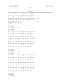 VARIANT ACTIVIN RECEPTOR POLYPEPTIDES, ALONE OR IN COMBINATION WITH     CHEMOTHERAPY, AND USES THEREOF diagram and image