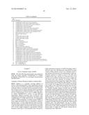 VARIANT ACTIVIN RECEPTOR POLYPEPTIDES, ALONE OR IN COMBINATION WITH     CHEMOTHERAPY, AND USES THEREOF diagram and image