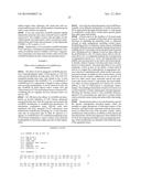 VARIANT ACTIVIN RECEPTOR POLYPEPTIDES, ALONE OR IN COMBINATION WITH     CHEMOTHERAPY, AND USES THEREOF diagram and image