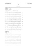 VARIANT ACTIVIN RECEPTOR POLYPEPTIDES, ALONE OR IN COMBINATION WITH     CHEMOTHERAPY, AND USES THEREOF diagram and image