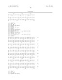 VARIANT ACTIVIN RECEPTOR POLYPEPTIDES, ALONE OR IN COMBINATION WITH     CHEMOTHERAPY, AND USES THEREOF diagram and image