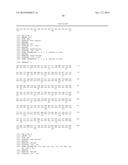 VARIANT ACTIVIN RECEPTOR POLYPEPTIDES, ALONE OR IN COMBINATION WITH     CHEMOTHERAPY, AND USES THEREOF diagram and image