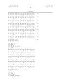 VARIANT ACTIVIN RECEPTOR POLYPEPTIDES, ALONE OR IN COMBINATION WITH     CHEMOTHERAPY, AND USES THEREOF diagram and image