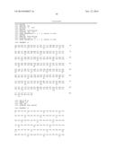 VARIANT ACTIVIN RECEPTOR POLYPEPTIDES, ALONE OR IN COMBINATION WITH     CHEMOTHERAPY, AND USES THEREOF diagram and image