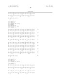 VARIANT ACTIVIN RECEPTOR POLYPEPTIDES, ALONE OR IN COMBINATION WITH     CHEMOTHERAPY, AND USES THEREOF diagram and image