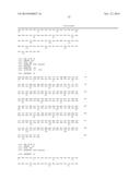 VARIANT ACTIVIN RECEPTOR POLYPEPTIDES, ALONE OR IN COMBINATION WITH     CHEMOTHERAPY, AND USES THEREOF diagram and image