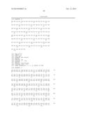 VARIANT ACTIVIN RECEPTOR POLYPEPTIDES, ALONE OR IN COMBINATION WITH     CHEMOTHERAPY, AND USES THEREOF diagram and image