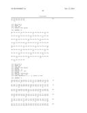 VARIANT ACTIVIN RECEPTOR POLYPEPTIDES, ALONE OR IN COMBINATION WITH     CHEMOTHERAPY, AND USES THEREOF diagram and image